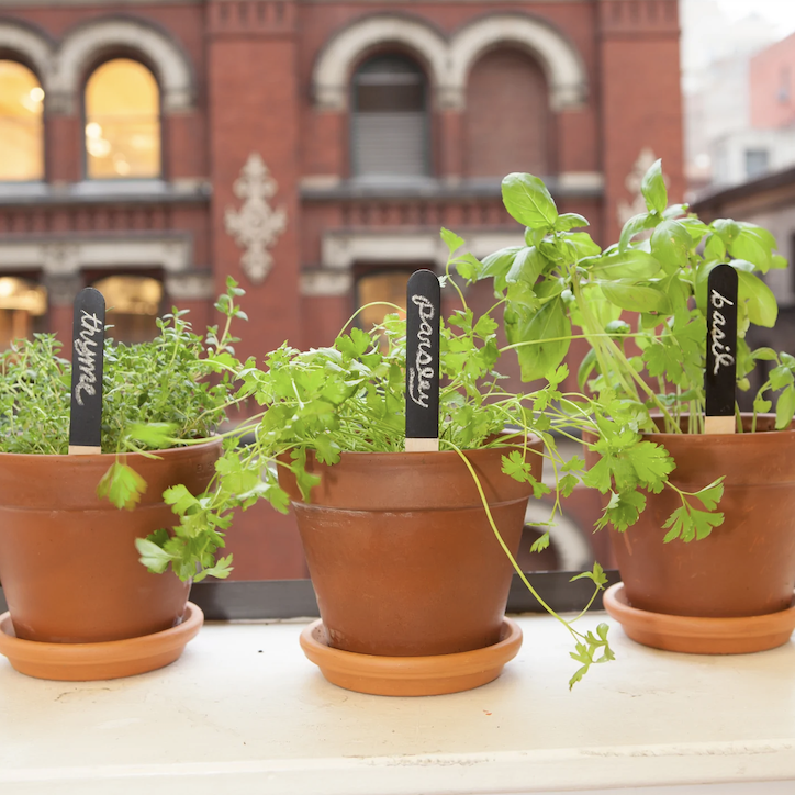 Reusable Garden Markers